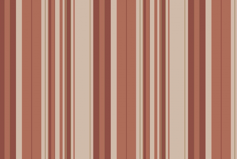 extraimage1