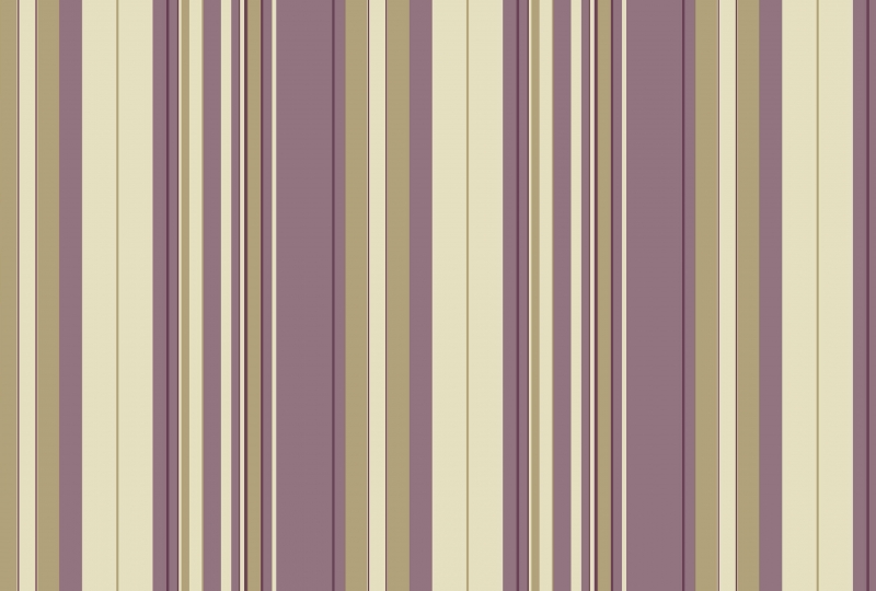 extraimage3