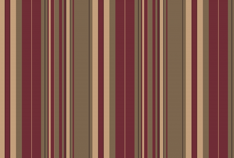 extraimage4