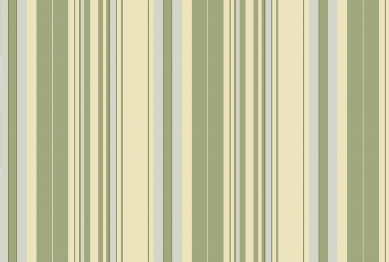 extraimage5