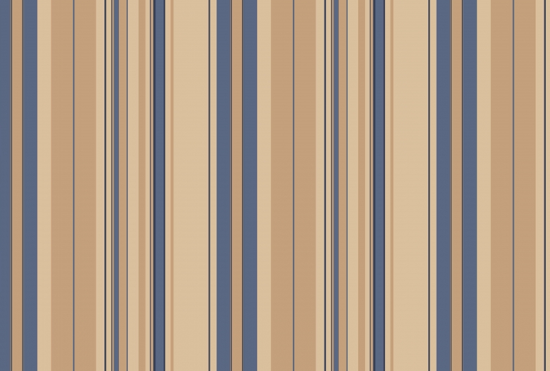 extraimage6