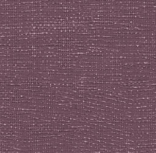 extraimage6