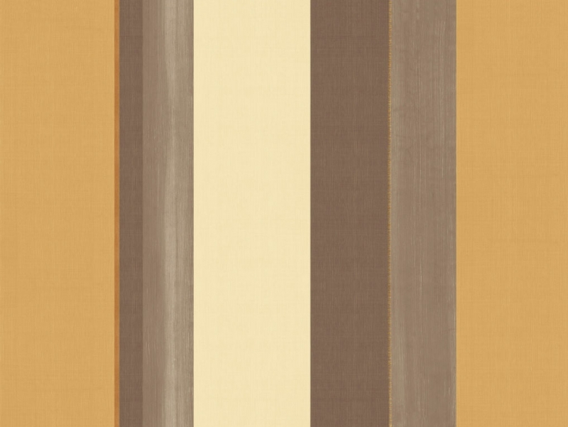 extraimage1